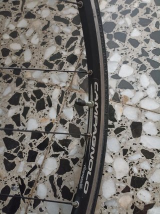 Llantas Campagnolo Protón