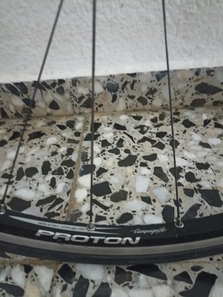 Llantas Campagnolo Protón