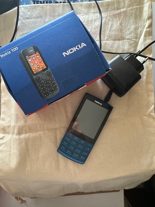 Teléfono Móvil Nokia X3 100