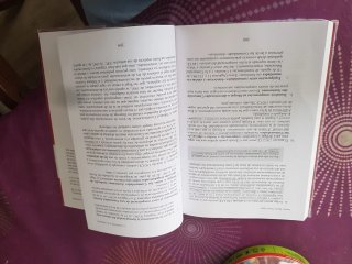 Lecciones básicas de derecho constitucional