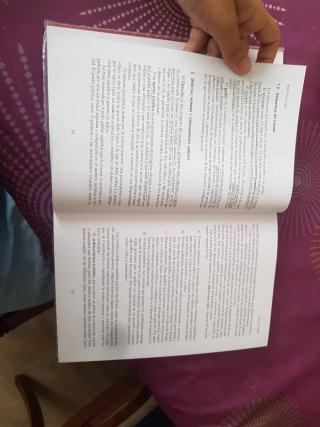 Lecciones básicas de derecho constitucional