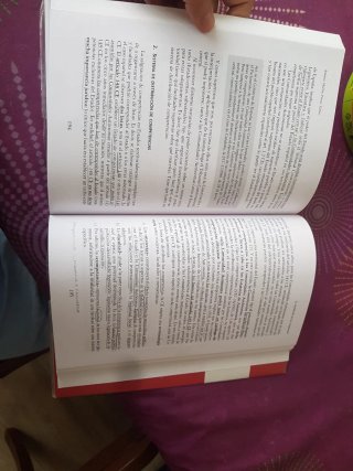 Lecciones básicas de derecho constitucional