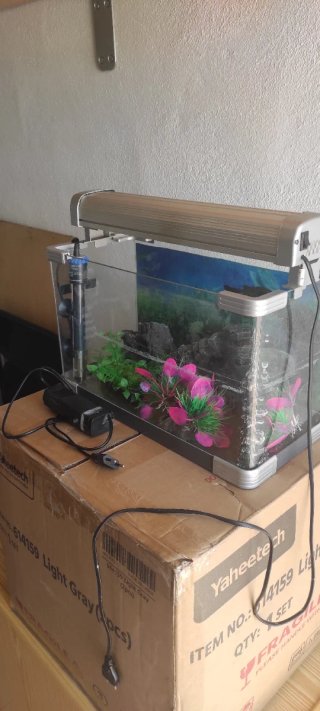 Acuario de cristal y plástico