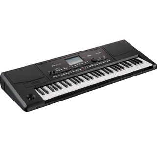 Korg Pa300 Teclado Profesional con funda y pedal