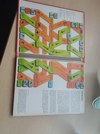 Campeonatos mundiales de fútbol 1977