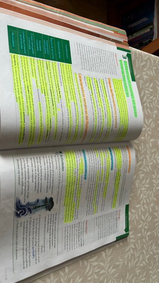 Lengua castellana y Literatura 4o ESO