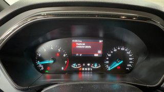 Ford FOCUS 1.0 Ecoboost MHEV 114kW STLine Auto (2024)