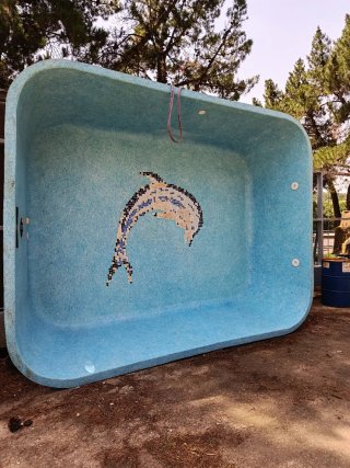 Piscina de poliéster con mosaico de delfín