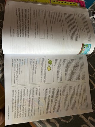 Lengua castellana y literatura 4o Secundaria Li...