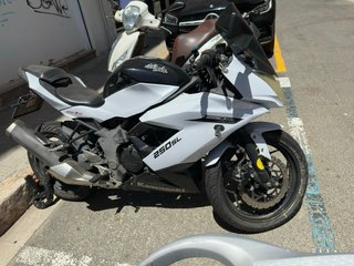 Kawasaki Ninja 250SL Blanca y Negra