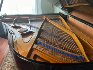 Piano de cola W.Hoffmann negro