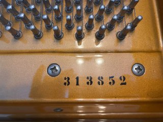 Piano de cola W.Hoffmann negro