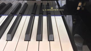 Piano de cola W.Hoffmann negro
