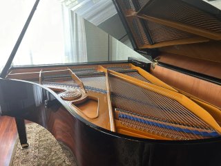 Piano de cola W.Hoffmann negro