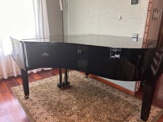 Piano de cola W.Hoffmann negro