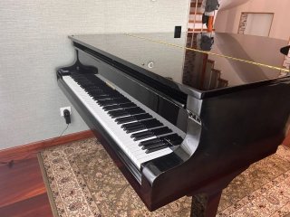 Piano de cola W.Hoffmann negro
