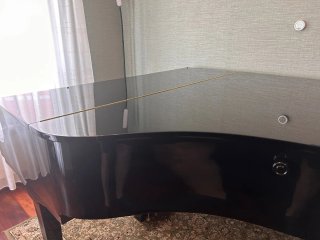 Piano de cola W.Hoffmann negro