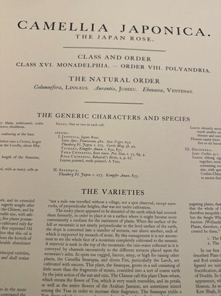 Monografía sobre el Género Camelia 1819
