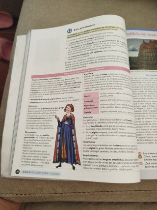 Lengua castellana y literatura II. Libro del es...