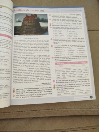 Lengua castellana y literatura II. Libro del es...