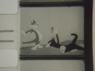 Doggone Cats Pelicula de 8mm Home Movies