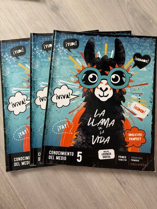 Libros Conocimiento de medio 5 primaria