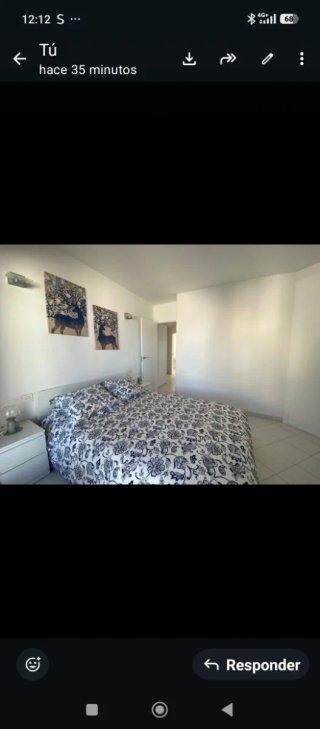 Piso en alquiler, mes de julio en la Manga