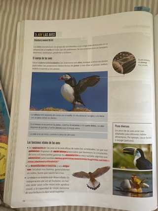 Biología Y Geología 1 Secundaria