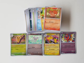 Pack 64 Carte Pokémon Caos Creciente