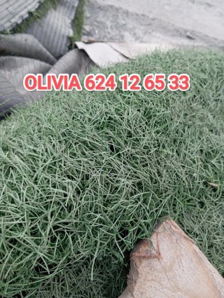 Venta césped artificial