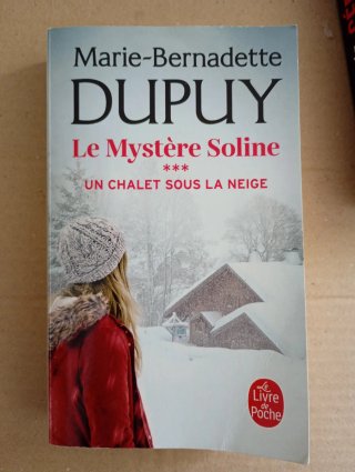 Un chalet sous la neige