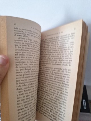 El secreto de la flor de oro un libro de la vid...
