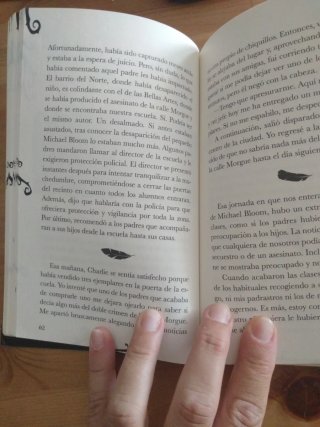el misterio de la calle morgue