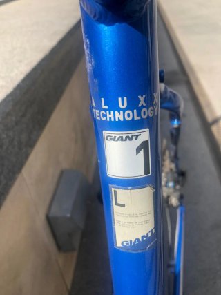 Bicicleta Giant Azul carretera