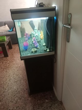 Acuario completo con mueble