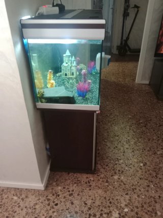 Acuario completo con mueble