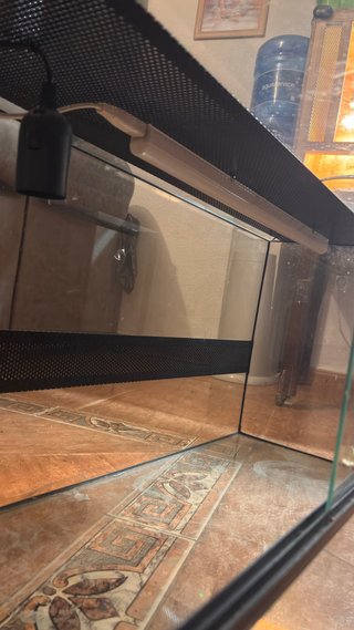 Terrario de Cristal Negro y Transparente