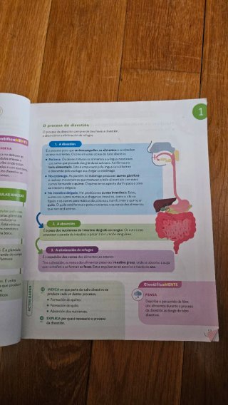 Ciencias da naturaleza, 6 Primaria, Proxecto Co...