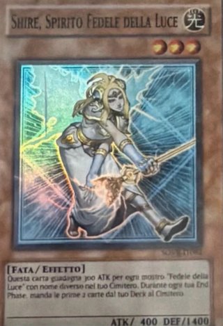 Lotto carte Yu-Gi-Oh!