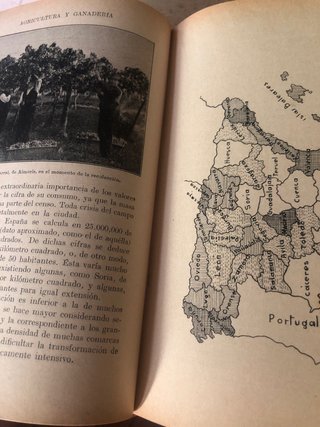 Libro Agricultura y Ganadería