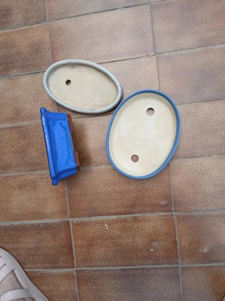 Lotes de macetas para bonsái