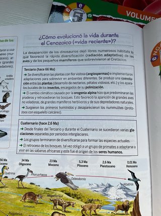 Libros Biología y Geología Bruño  4 ESO
