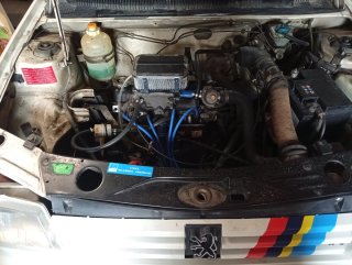 Peugeot 205 1989