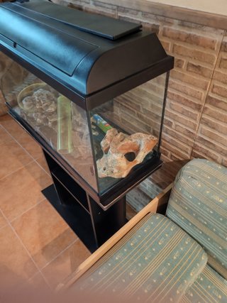 Pecera con mueble y accesorios