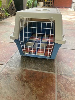 Transportín perro pequeño