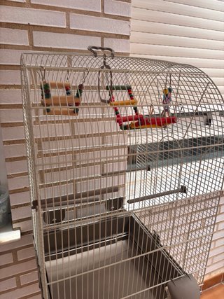 Jaula grande para pájaros con accesorios