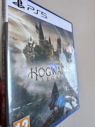 PS5 Hogwarts Legacy Gioco