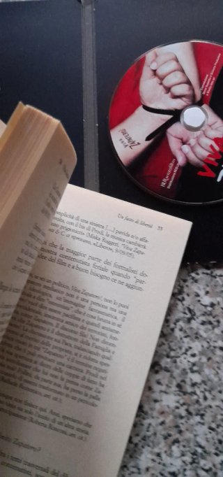 Viva Zapatero! Libro + DVD
