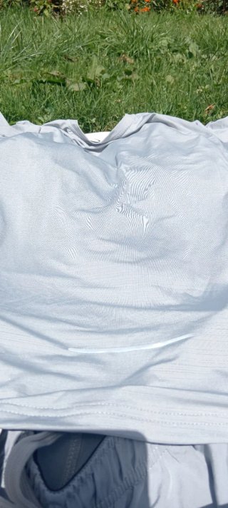 Conjunto Nike Gris Camiseta y Pantalón Corto