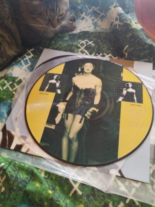 Madonna The Immaculate Collection Picture Disc
